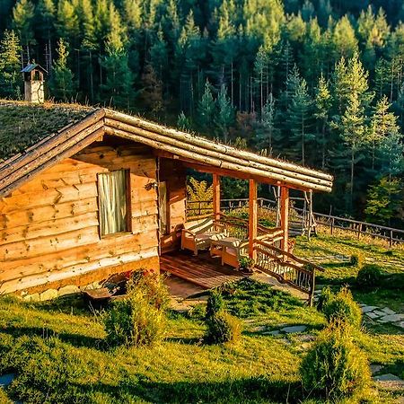 Панорама Хаус Лещен И Еко Къщи Дървена И Землянка Zewnętrze zdjęcie