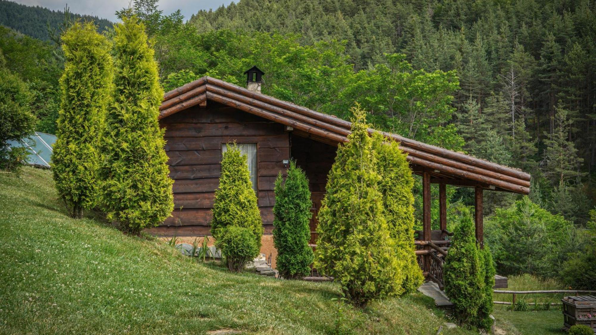 Панорама Хаус Лещен И Еко Къщи Дървена И Землянка Zewnętrze zdjęcie